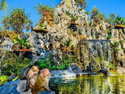 Tour Đảo Khỉ Suối Hoa Lan 2 Ngày 1 đêm Nha Trang 