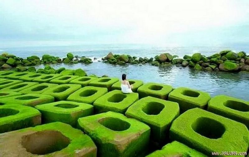 Bãi đá xanh reo Phú Yên